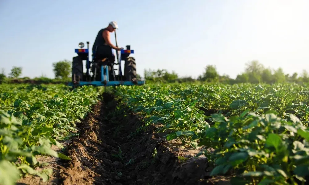 IBGC promove Fórum de debates sobre Governança Agro em Goiás