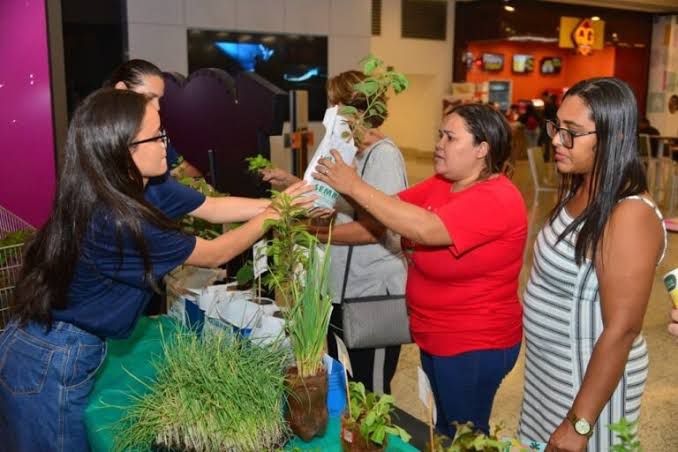 Aparecida Shopping realiza doação de mudas de plantas