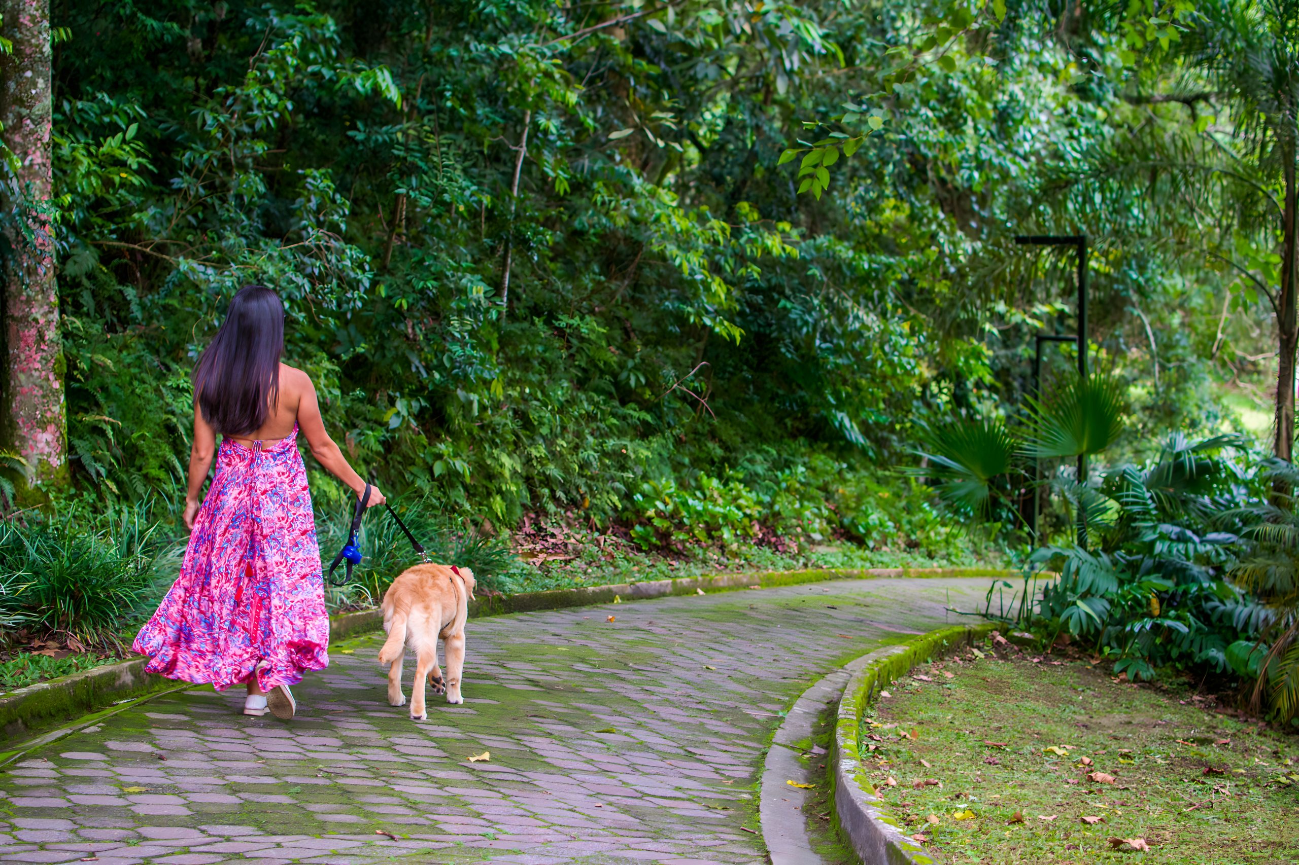 Hotel Villa Rossa é destino dog friendly em meio à Mata Atlântica