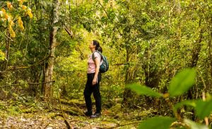 Diário do Turista – Parque Nacional do Iguaçu lançará trilha às margens do Rio Iguaçu: conheça a Ytepopo