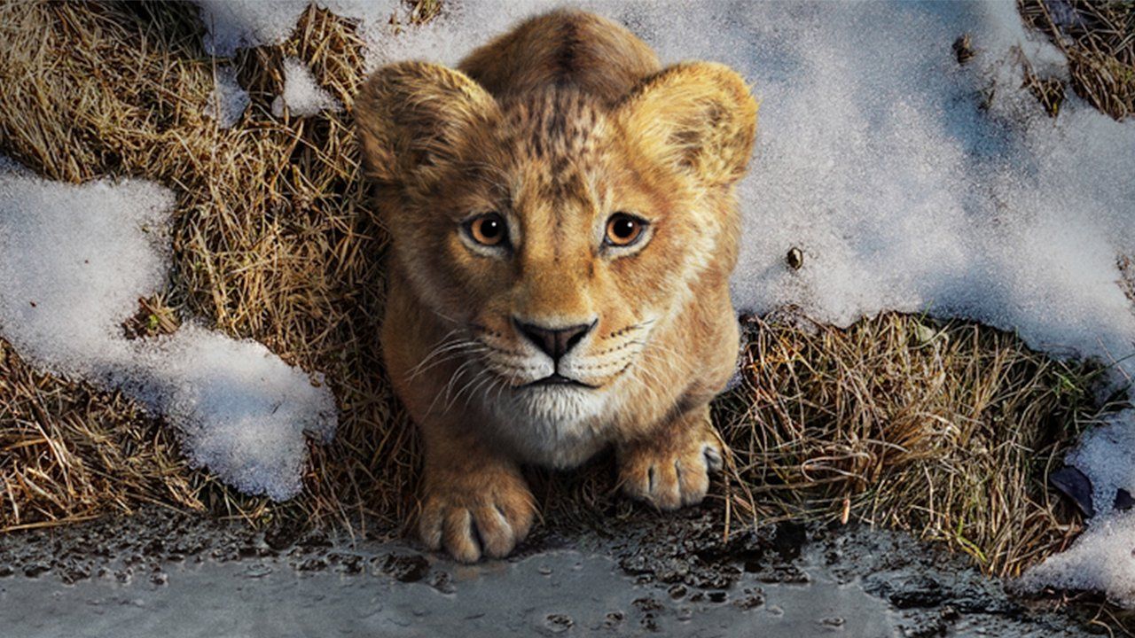 Mufasa, O Rei Leão estreia no cinema do Aparecida Shopping