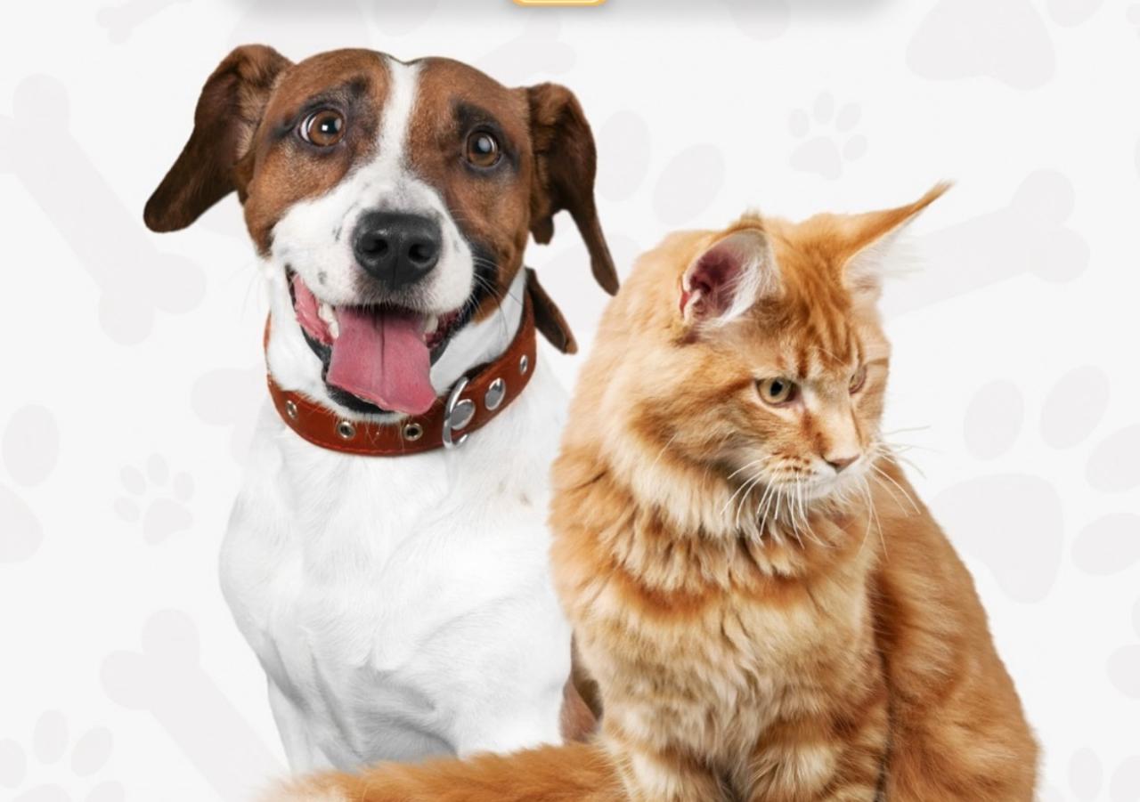 Mutirão Pet no Aparecida Shopping promete um dia de cuidados e diversão para os animais e suas famílias