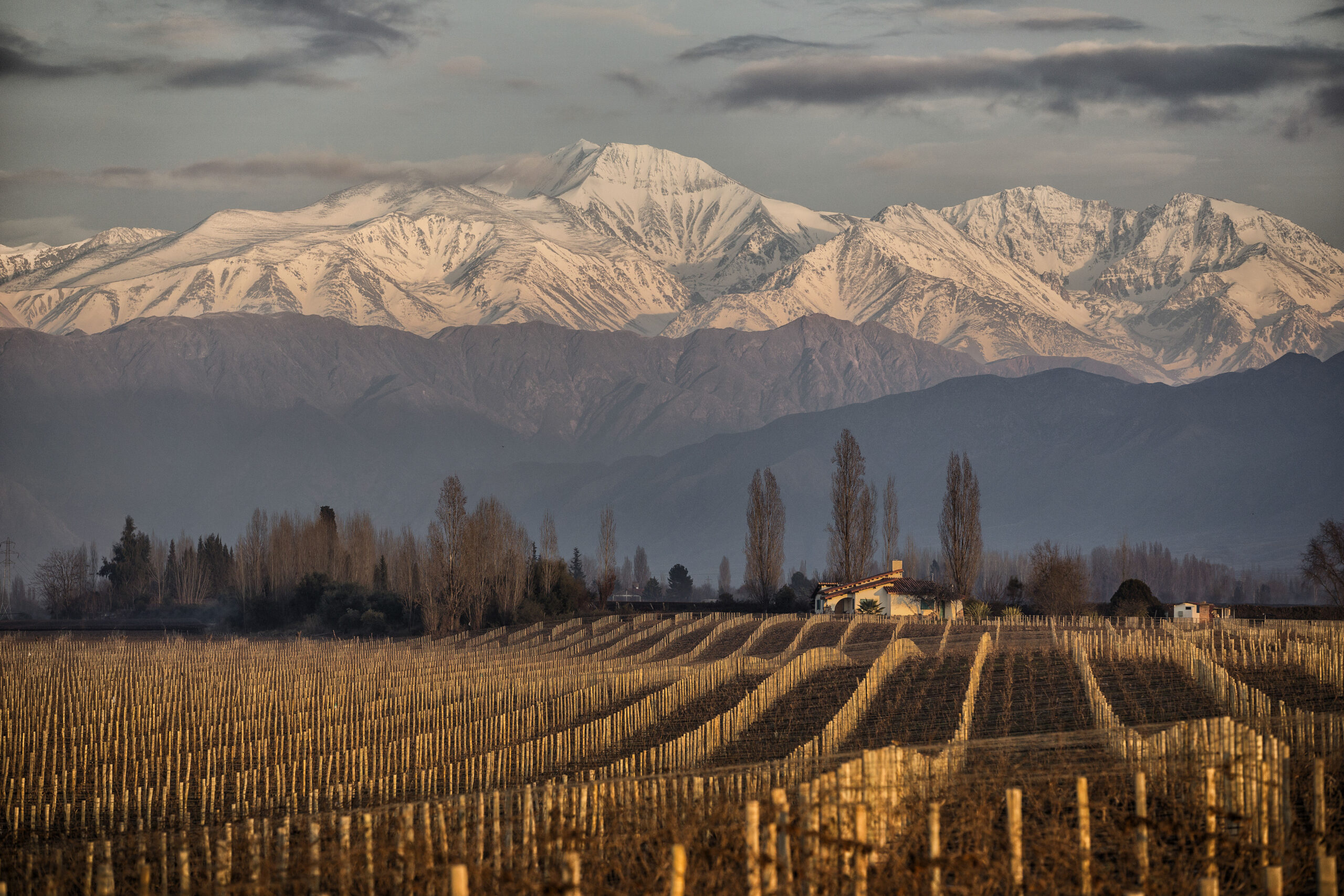 (Diário do Turista) ‘Oscar do vinho’: vinícola argentina premiada mundialmente tem rótulos exclusivos na Decanter Goiânia