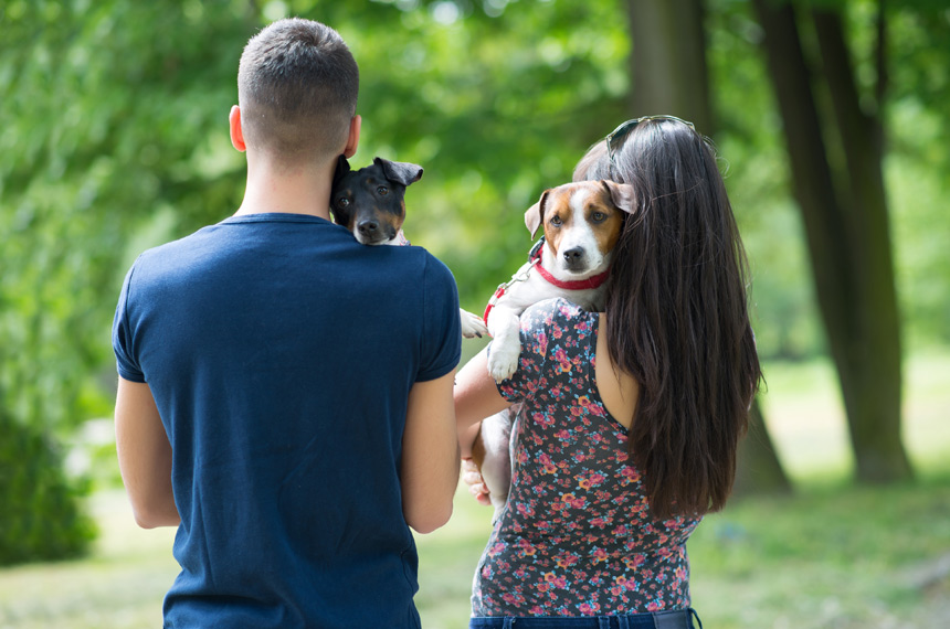Nova lei regulamenta guarda compartilhada de pets e cartórios passam a auxiliar na formalização de acordos